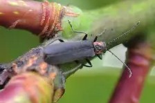 皇冠官网-md5解码器在线解码